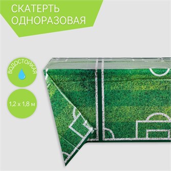 {{productViewItem.photos[photoViewList.activeNavIndex].Alt || productViewItem.photos[photoViewList.activeNavIndex].Description || 'Скатерть одноразовая,футбольное поле, 120х180 см'}}